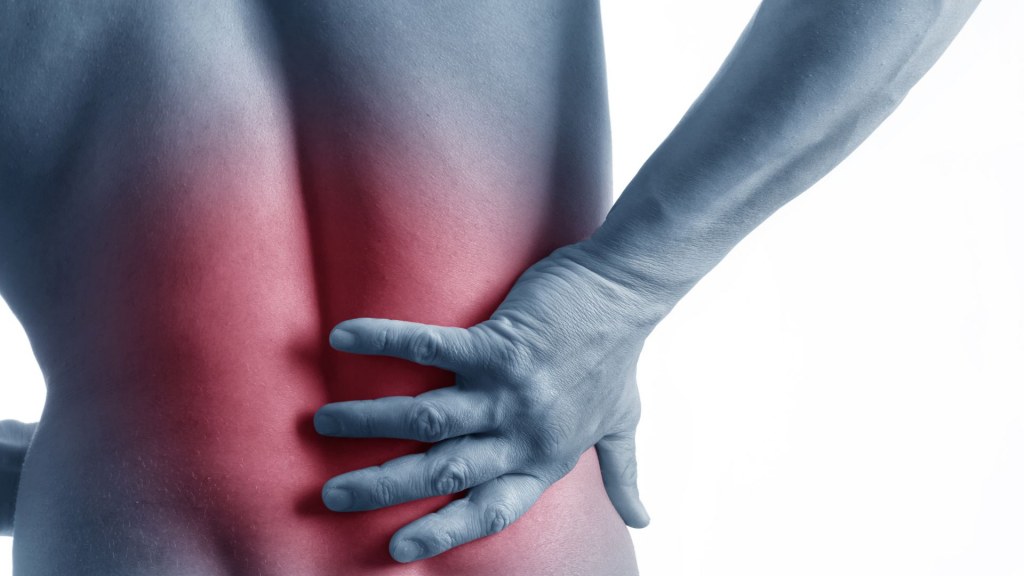 7 Lower Back Exercises to Reduce Pain and Build Strength
